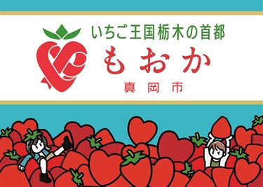Moka Japan website banner, reflecting the City's heritage for producing strawberries.