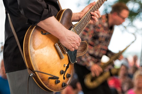 concerts-in-the-park-guitar.jpg
