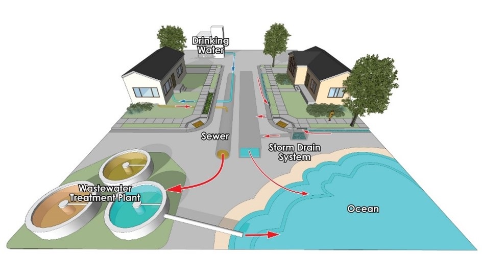 Stormwater Pollution Prevention, infographic storm water flows directly to ocean